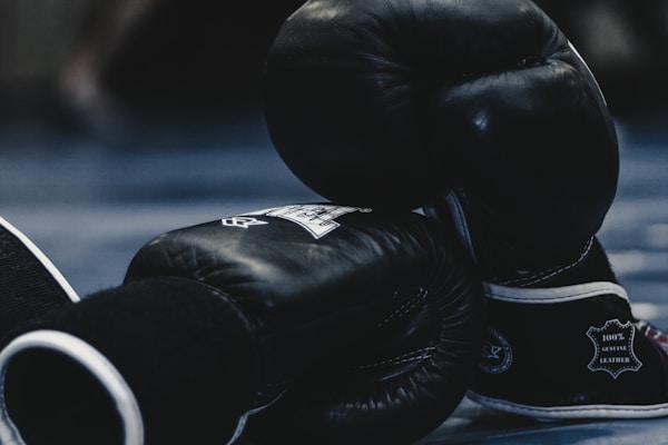 MMA UFC